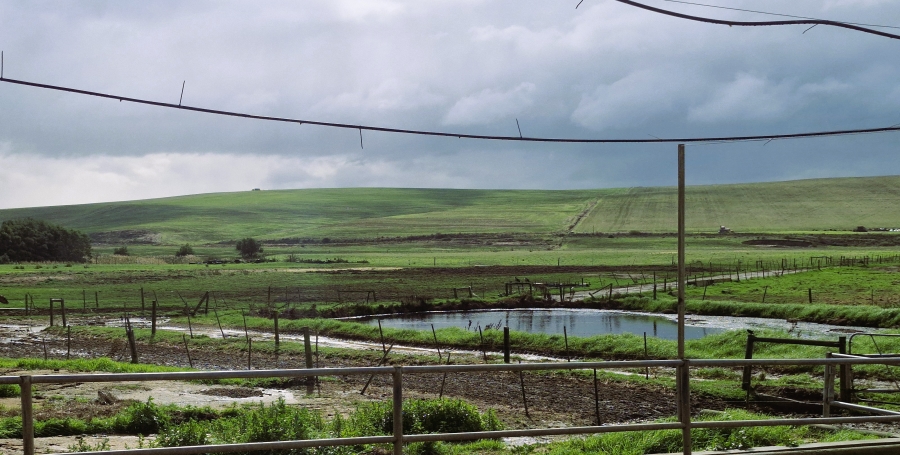 Commercial Property for Sale in Caledon Rural Western Cape